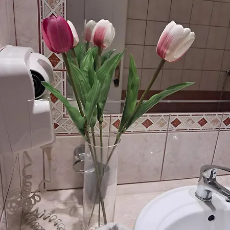 Ξενοδοχείο με διαμερίσματα Spyridoula 11 Παλαιοκαστρίτσα