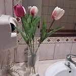 Ξενοδοχείο με διαμερίσματα Spyridoula 11 Παλαιοκαστρίτσα